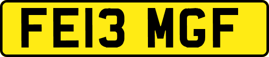 FE13MGF