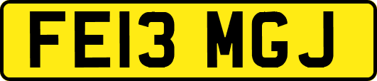 FE13MGJ
