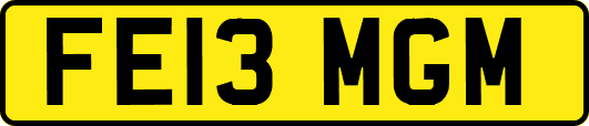 FE13MGM