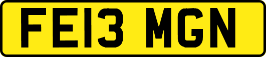 FE13MGN