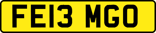 FE13MGO