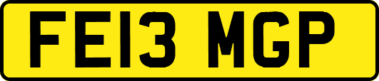 FE13MGP