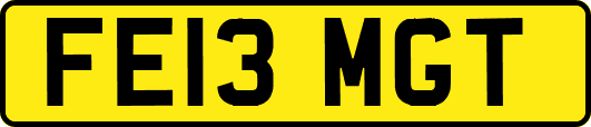 FE13MGT