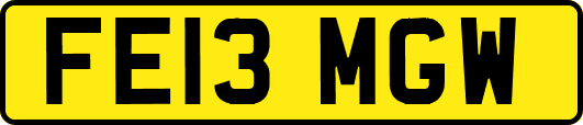 FE13MGW