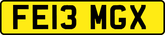 FE13MGX