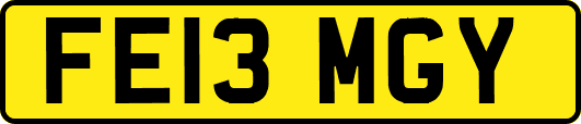 FE13MGY