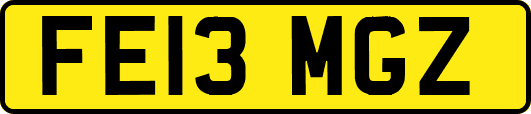 FE13MGZ