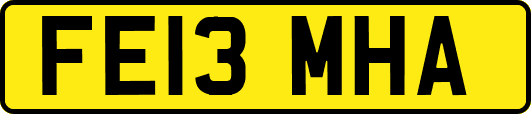 FE13MHA