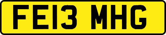 FE13MHG