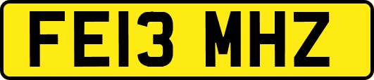 FE13MHZ
