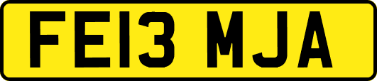 FE13MJA