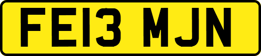 FE13MJN