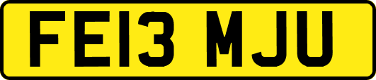 FE13MJU