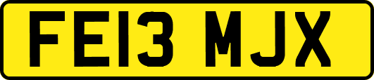 FE13MJX
