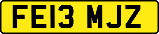 FE13MJZ