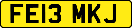 FE13MKJ