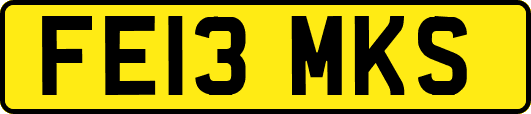 FE13MKS