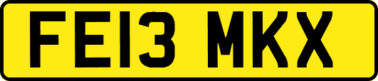 FE13MKX