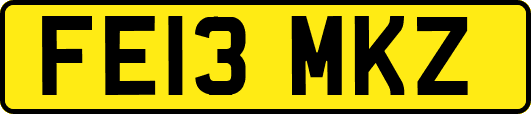FE13MKZ