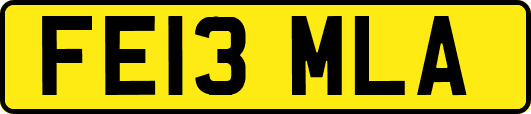 FE13MLA