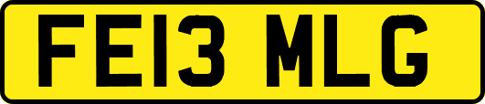 FE13MLG