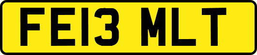 FE13MLT