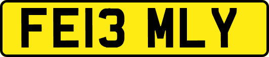 FE13MLY