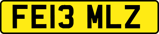 FE13MLZ