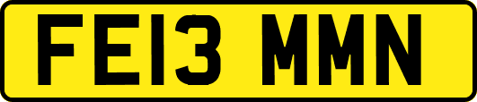 FE13MMN