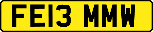 FE13MMW