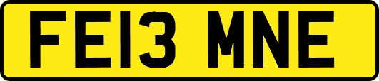 FE13MNE