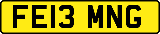 FE13MNG