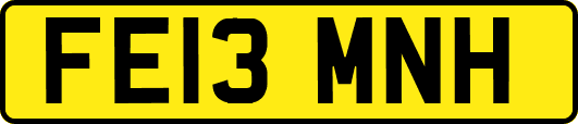 FE13MNH