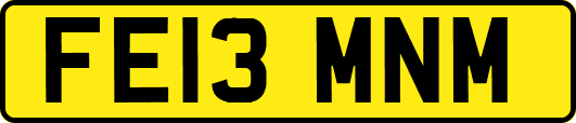 FE13MNM