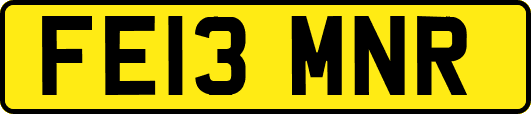 FE13MNR