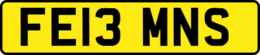 FE13MNS