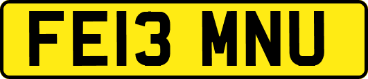 FE13MNU