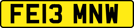FE13MNW