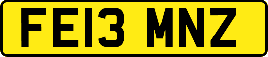 FE13MNZ