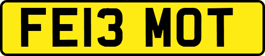 FE13MOT