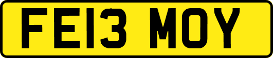 FE13MOY