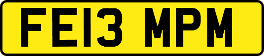 FE13MPM