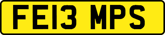 FE13MPS