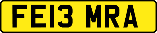 FE13MRA