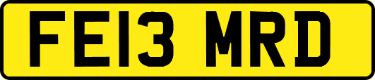 FE13MRD