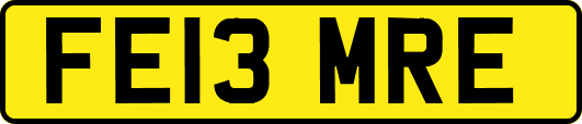 FE13MRE