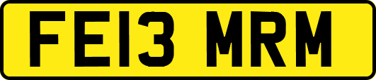 FE13MRM