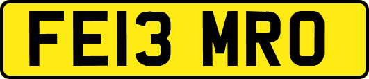 FE13MRO