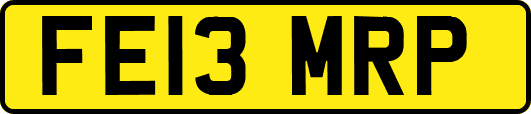 FE13MRP