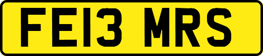 FE13MRS